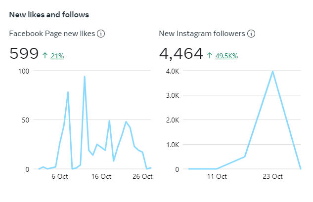 Meta — Meta — Instagram Follower Growth Sprint